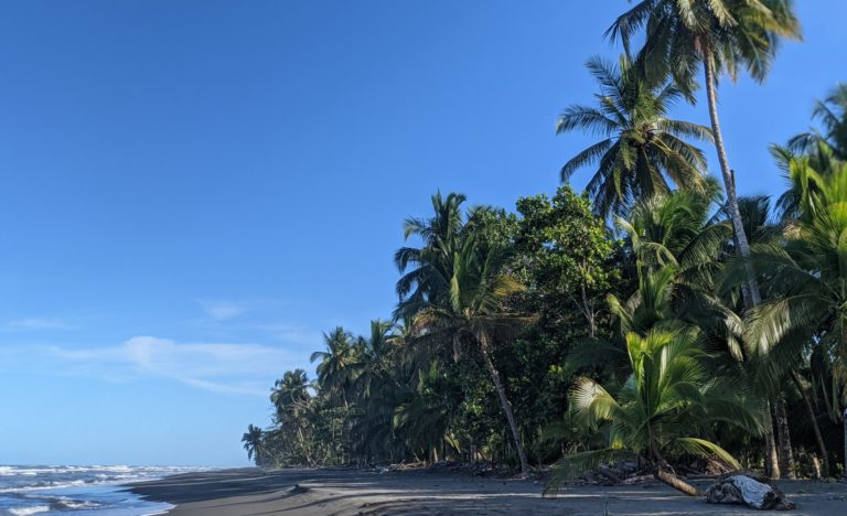 Turtle Conservation at Tortugas de Pacuare Volunteer Camp