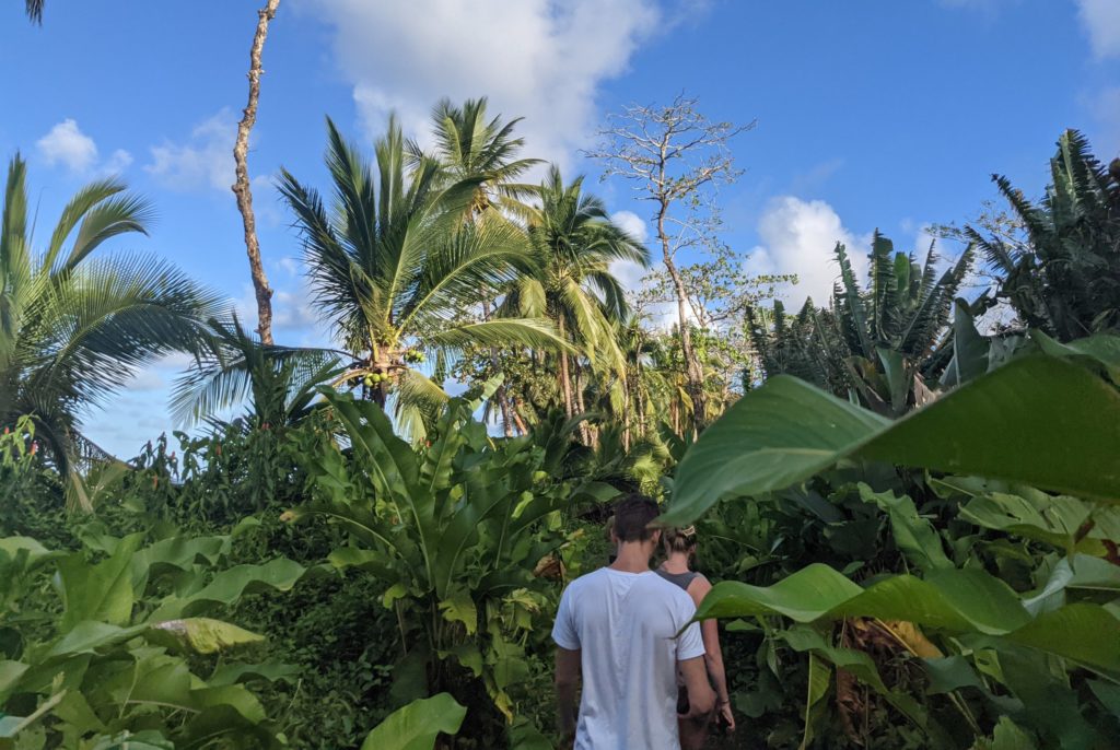 Jungle walk in Pacuare