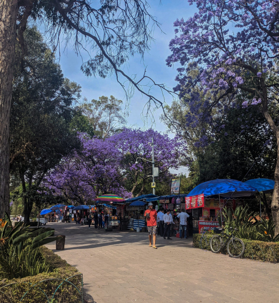 Gardens in Mexico City